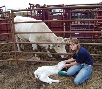 FFA Chapter Reaches Out Image